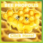 Bee propolis
