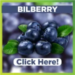Bilberry