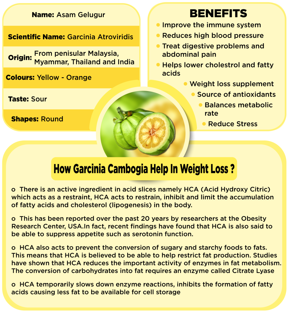BEE GARCINIA CAMBOGIA