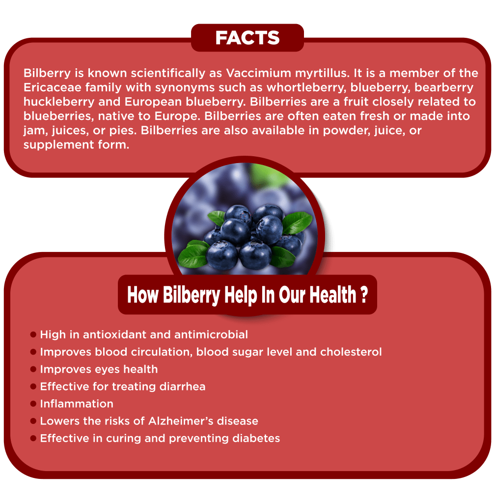 BILBERRY