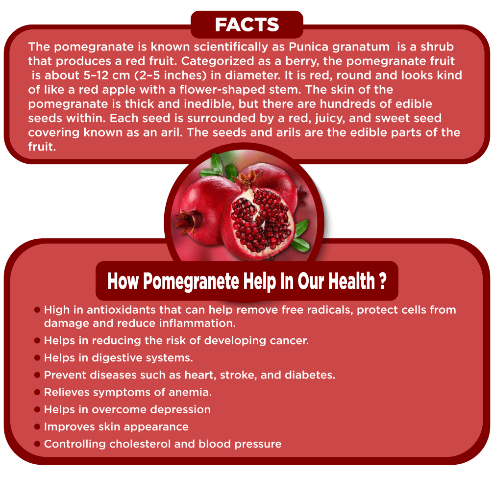 POMEGRANATE