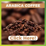 ARABICA COFFEE