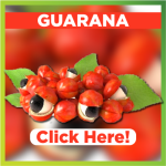 GUARANA